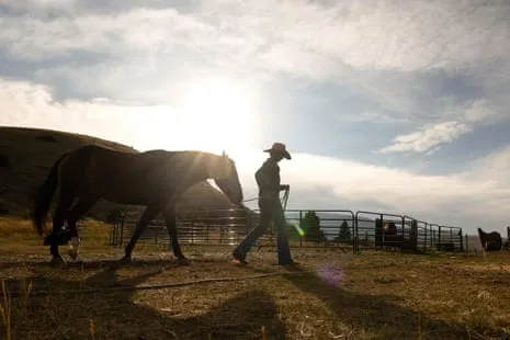 Discover the US Women Ranchers Redefining Contemporary Ranch Life