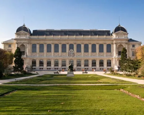 Historic Golden Specimens Stolen in Audacious Raid at France's Natural History Museum