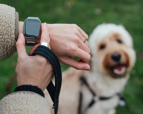 The Truth Regarding Fitness Trackers? Daily Existence Feels Fuller Without a Bossy Zealot on Your Wristwear